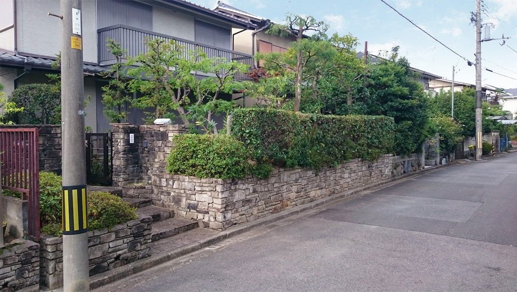 タブレット、剪定01