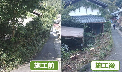 事例、伐採01、左京区