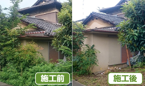 事例、空家の剪定・除草02、京都市