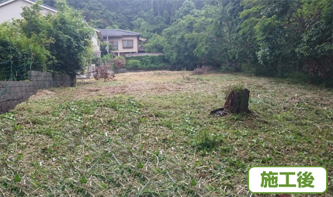 事例、草刈03