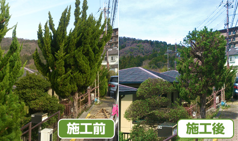 事例、剪定01、京都市西京区